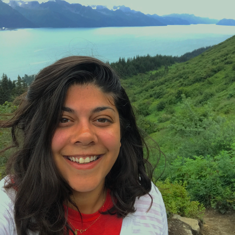 Illustration for article titled Alaska's Seward Highway Is The Most Beautiful Road In America